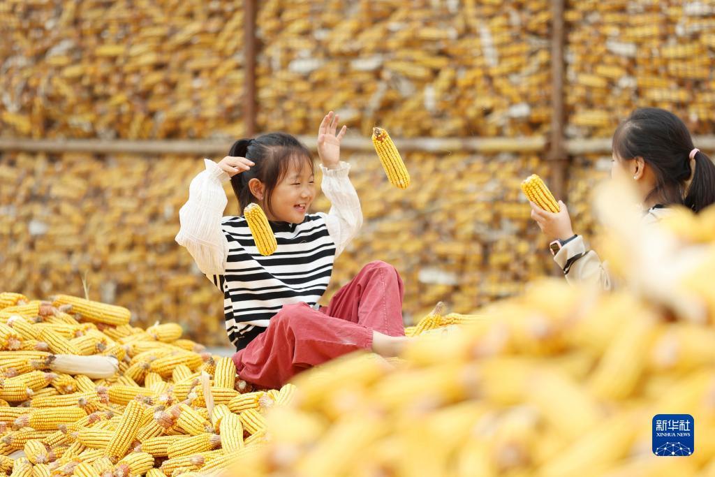 bet网站怎么样